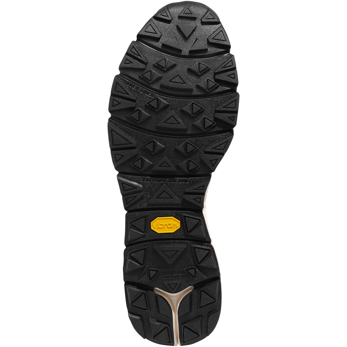 Danner Men's Mountain 600 Boot